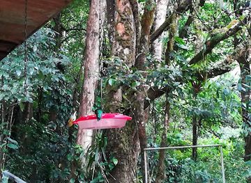 costa-rica/monteverde/landmark/monteverde-hummingbird-gallery