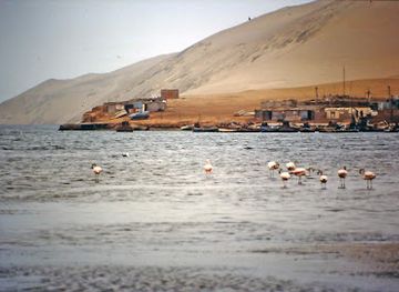 peru/paracas-national-reserve/landmark/salinas-de-otuma