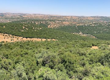 jordan/ajloun-forest-reserve/landmark/ajloun-forest-reserve-restaurant