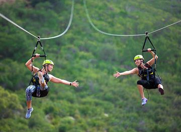 uganda/central-region/landmark/roving-gorillas-safaris