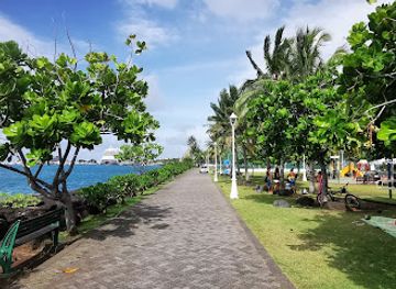 french-polynesia/tahiti/landmark/place-to-ata