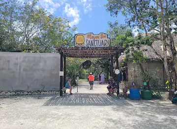 Mayan Bee Sanctuary
