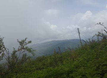 malawi/zomba-plateau/landmark/zomba