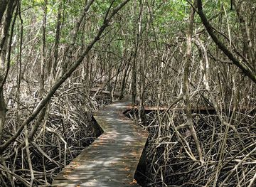 trinidad-and-tobago/st-george-central/landmark/tobago-plantations