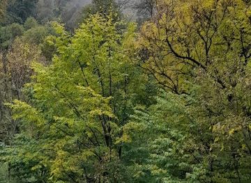 armenia/dilijan/landmark/beautiful-location-in-armenian