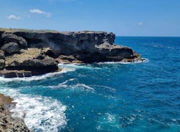 barbados/animal-flower-cave/landmark/north-point