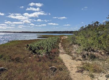 massachusetts/martha-s-vineyard/landmark/mass-audubon-s-felix-neck-wildlife-sanctuary