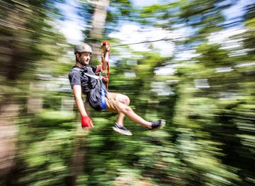australia/sunshine-coast/landmark/treetop-challenge-big-pineapple-australia-s-highest-adventure-park