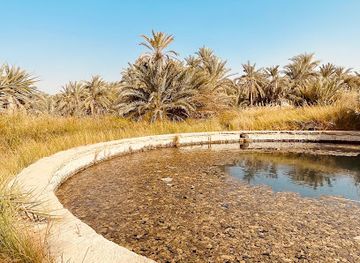 egypt/siwa-oasis/landmark/a-spring