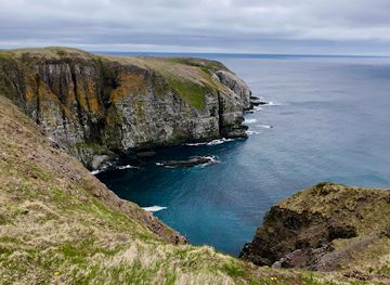 canada/avalon-peninsula/landmark/cape-st-mary-s-ecological-reserve
