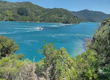 new-zealand/blenheim/landmark/affinity-cruises