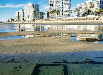 california/coronado/landmark/ss-monte-carlo