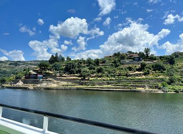 portugal/douro/landmark/douro-criativo-cruzeiros-no-douro