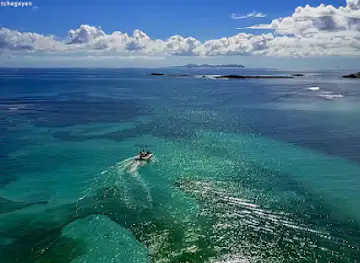Saint Martin Surf Club