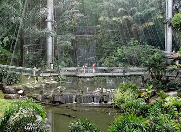 malaysia/taman-negara-national-park/landmark/kuala-lumpur-butterfly-park