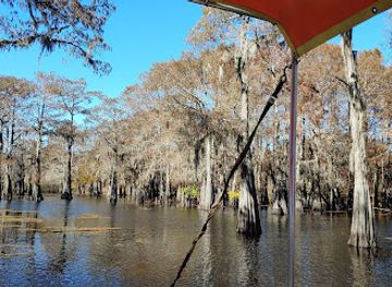 louisiana/atchafalaya-national-heritage-area/landmark/atchafalaya-basin-landing-airboat-swamp-tours