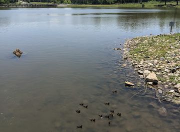 tennessee/duck-river-valley/landmark/the-duck-pond-and-lily-pond-historical-marker