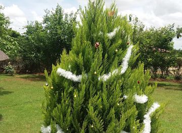 zambia/lusaka/landmark/pavilla-gardens