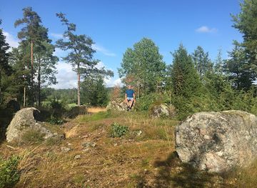 sweden/dalsland/landmark/steinsetzung-schiffsgrab