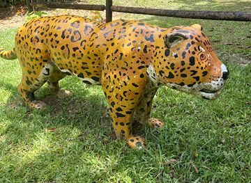 belize/cockscomb-basin-wildlife-sanctuary/landmark/cockscomb-range