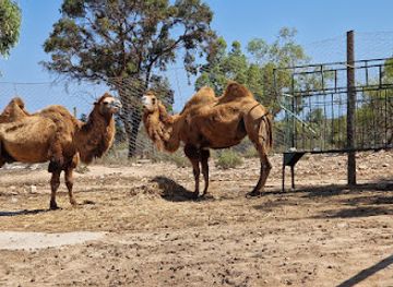 tunisia/tunisian-sahara/landmark/friguia-park