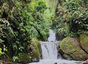 ecuador/mindo-cloud-forest/landmark/mindo