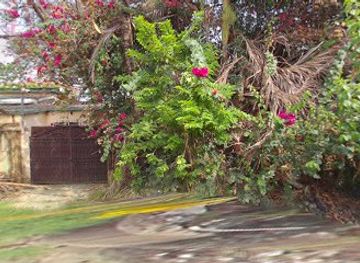 cambodia/kampot/landmark/nary-garden