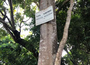 kenya/diani-beach/landmark/kaya-kinondo-sacred-forest