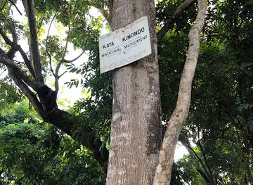 Kaya Kinondo Sacred Forest