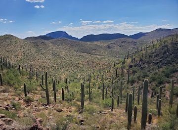 arizona/tucson-mountain-park/landmark/hidden-canyon-trail