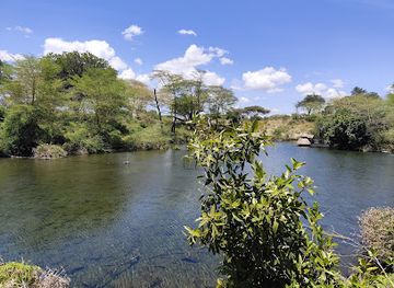 kenya/tsavo-region/landmark/mzima-springs