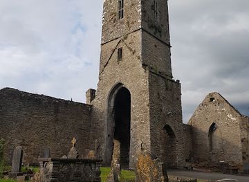 ireland/county-tipperary/landmark/roscrea-abbey