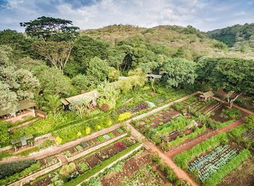 tanzania/ngorongoro-highlands/landmark/gibb-s-farm
