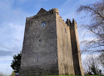 ireland/county-tipperary/landmark/redwood-castle
