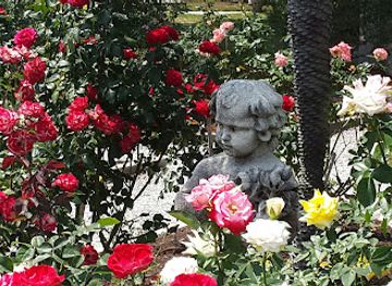 florida/sarasota-beaches/landmark/mable-ringling-rose-garden-at-the-ringling