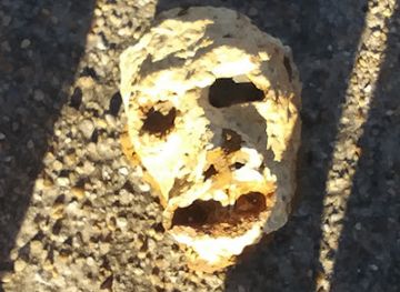 alabama/wiregrass-region/landmark/wiregrass-archaeological