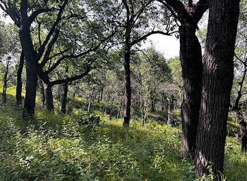indiana/indiana-dunes-national-park/landmark/indiana-dunes-national-park-tolleston-dunes