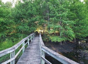 alabama/alabama-coastal-birding-trail/landmark/the-wetlands-eagle-scout-tree-birding-trail