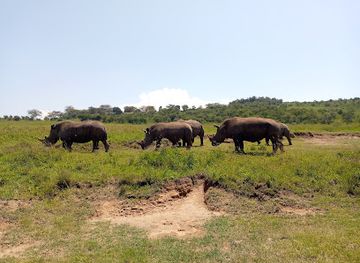 kenya/lake-nakuru-national-park/landmark/nakuru-park