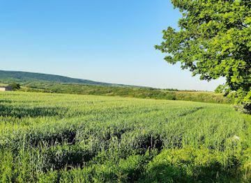 serbia/fruska-gora-national-park/landmark/novo-hopovo-monastery
