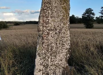 sweden/uppland/landmark/upplands-runinskrifter-999