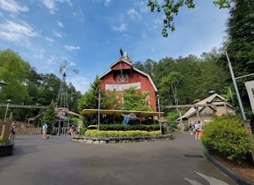 tennessee/dollywood/landmark/barnstormer