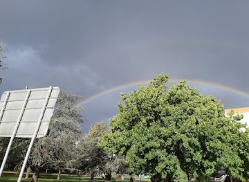 australia/canberra/manuka/landmark/manuka-terrace