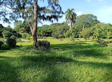 Queen's Park Savannah