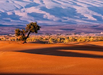 morocco/sahara-desert/landmark/morocco-sahara-trips