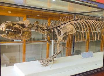 egypt/lower-egypt/landmark/egyptian-geology-museum