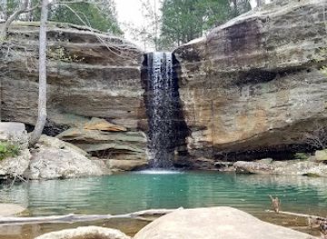 illinois/illinois-ozarks/landmark/jackson-falls