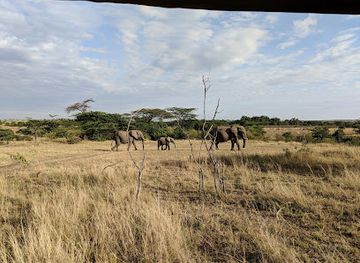 kenya/loita-plains/landmark/olare-orok-conservancy