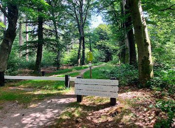 netherlands/utrechtse-heuvelrug/landmark/de-pol