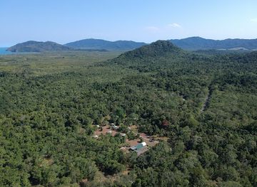 australia/daintree-rainforest/landmark/daintree-entomological-museum
